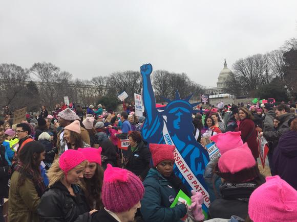 Lady Liberty at the women's march