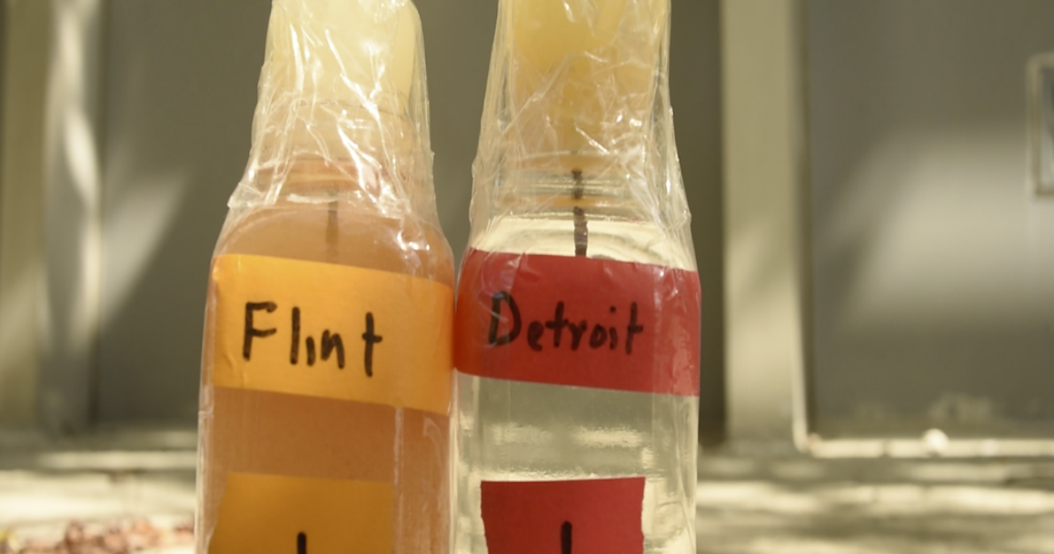 Samples of Flint and Detroit water side by side