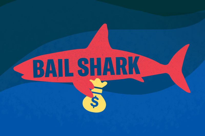 Bail Shark