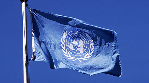 U.N. Flag