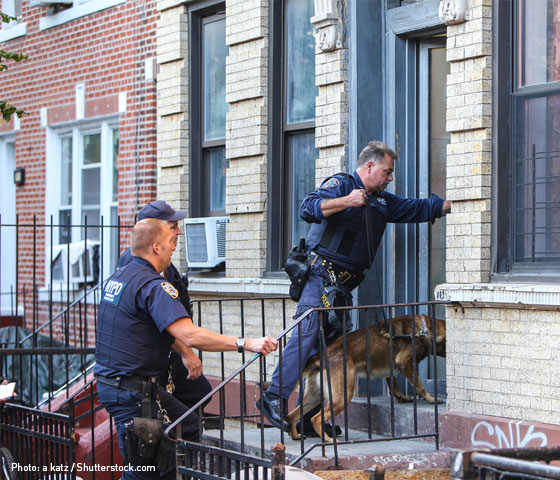 police officers with dog enter home to search it