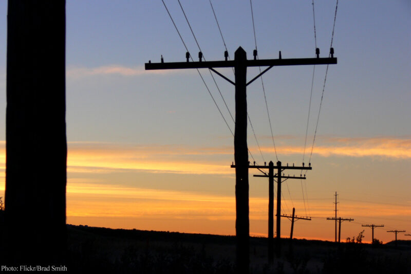 Telephone wires at dusk