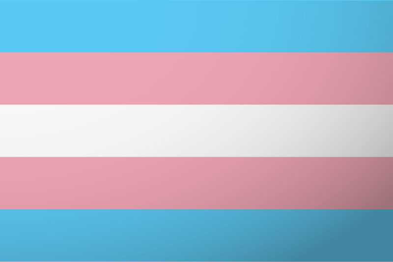 Trans Flag