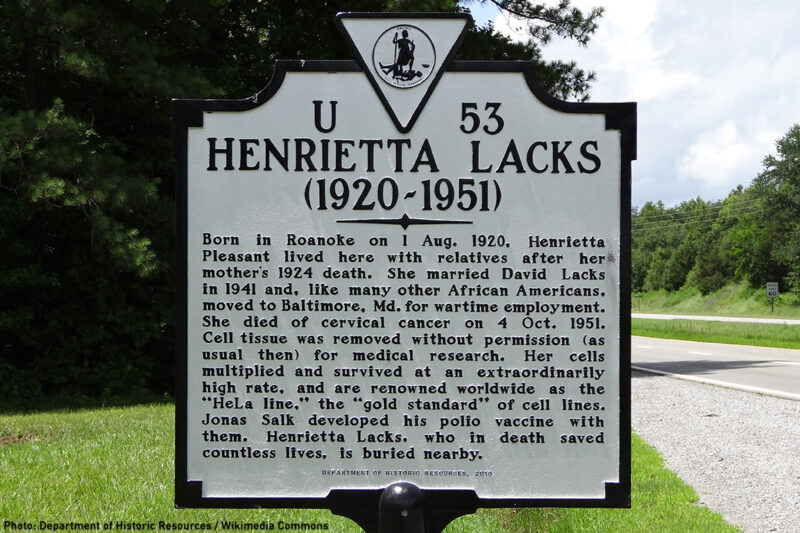 Henrietta Lacks Story Is A Powerful Lesson That Patients Deserve Full 