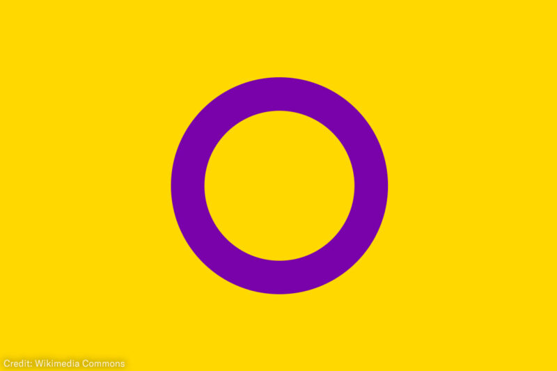 Intersex Flag