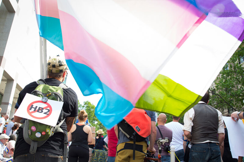 Trans Flag at Rally