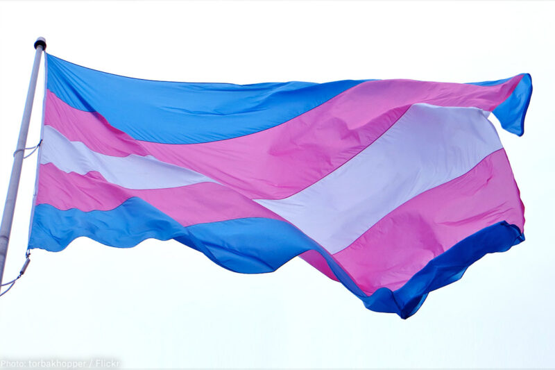 Trans Flag