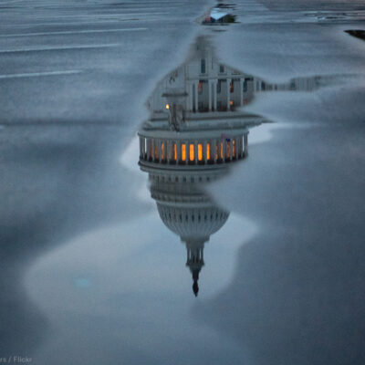 Capitol Reflection