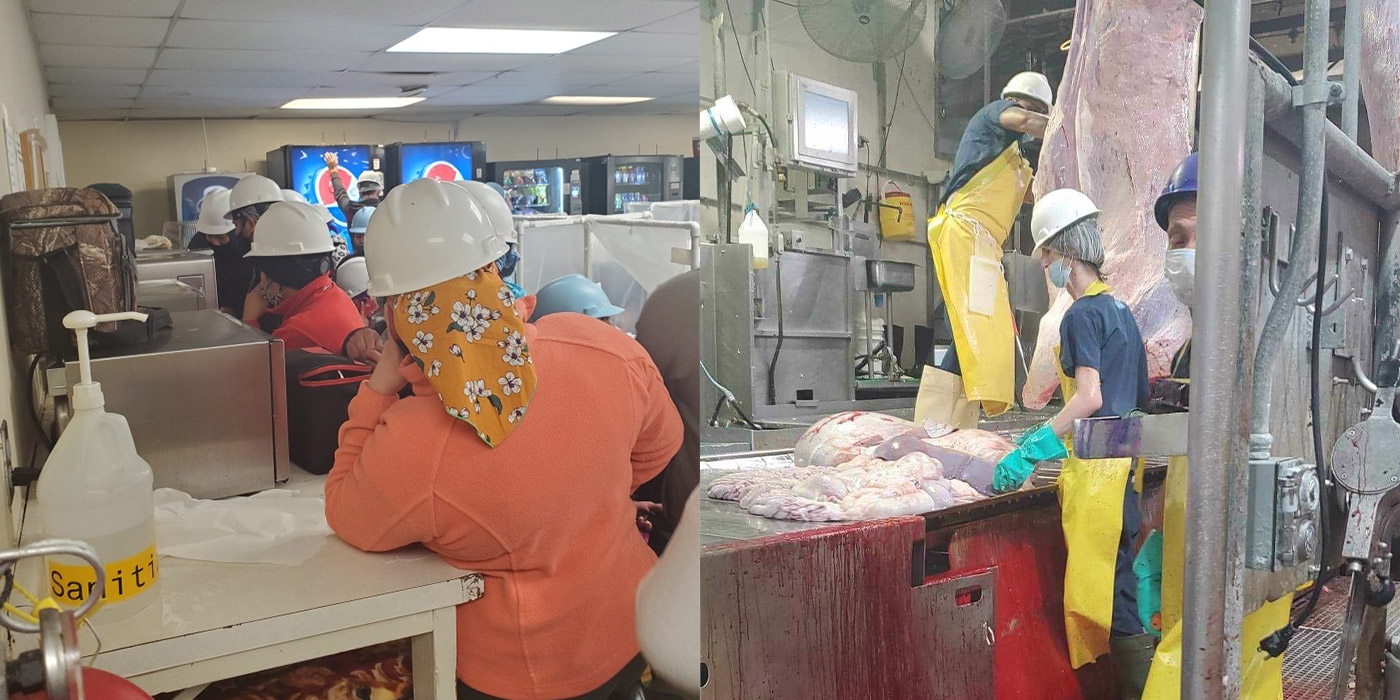 Workers in a meatpacking plant.